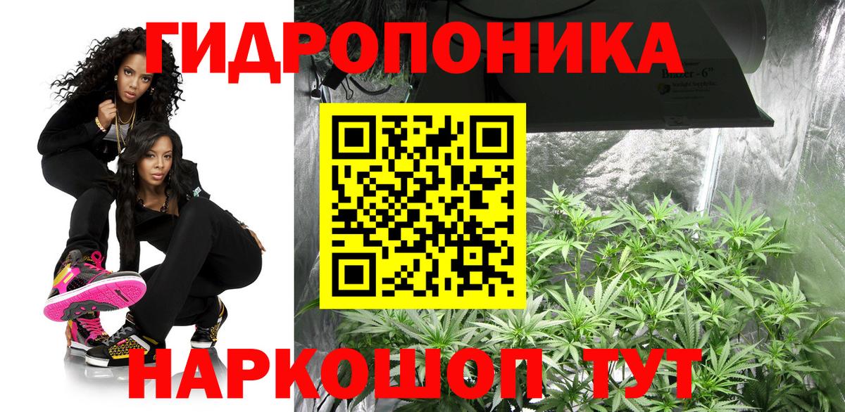 Бошки марихуана ГИДРОПОН Амурск